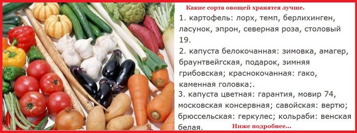 Какие сорта лучше хранятся. Советы как лучше сохранить овощи. Сорте овощи Канаш. Валя это сорт какого овоща. Лучший сорт овощей Кемеровской области
