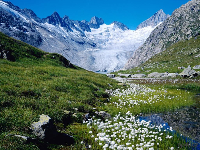 1426574860_nature___seasons___spring__006123_1 (700x525, 493Kb)