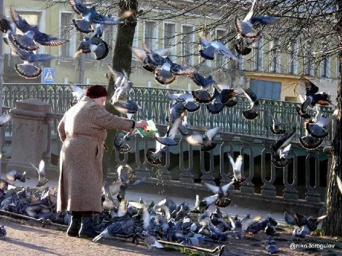 На скамейке возле дома голубые береты