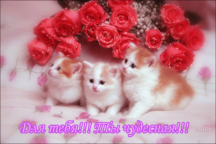 0_2a6963_7648b40c_orig (700x466, 625Kb)