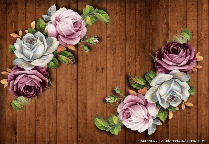 dsd (700x483, 343Kb)