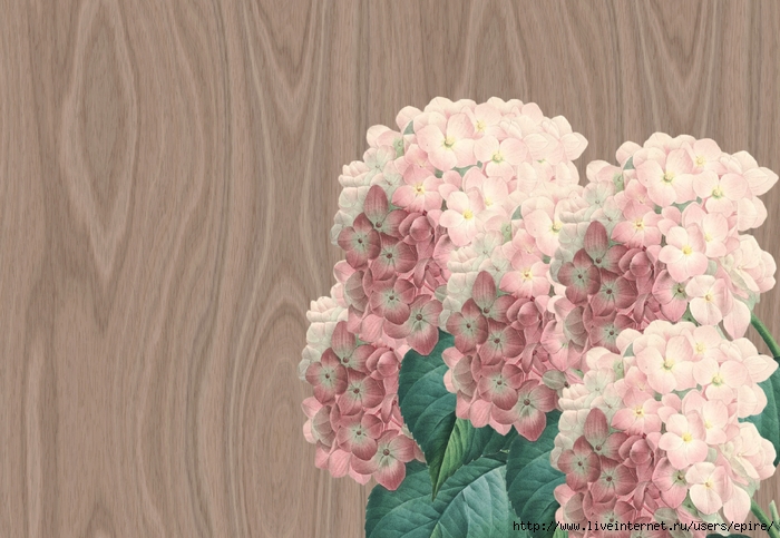 mm (700x483, 257Kb)