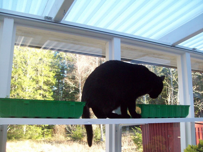 101_2096 (700x525, 410Kb)