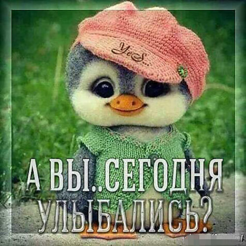 5188742_161926_760x500 (500x500, 72Kb)