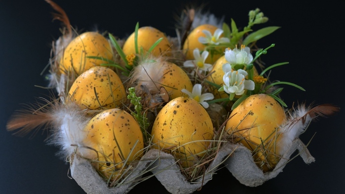 easter_easter_eggs_eggs_ornaments_feathers_flowers_108143_3840x2160 (700x393, 113Kb)