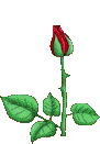 yfleur19 (91x131, 11Kb)