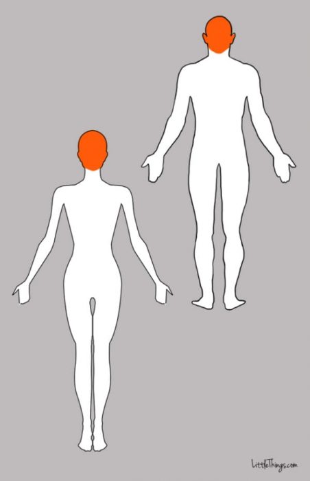 3577132_151452x700_1 (452x700, 20Kb)