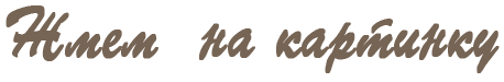 80 (458x75, 5Kb)