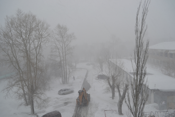 DSC_0127 (700x466, 252Kb)