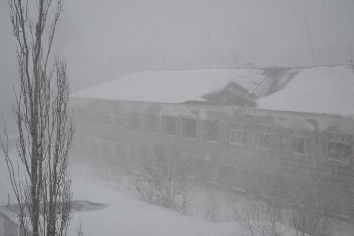 DSC_0128 (700x466, 224Kb)
