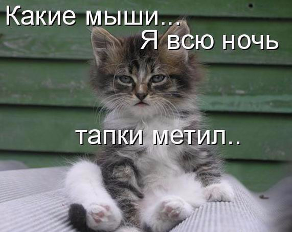 http://img0.liveinternet.ru/images/attach/d/1/134/770/134770312_original__18_.jpg