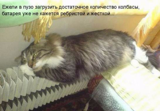 http://img0.liveinternet.ru/images/attach/d/1/134/770/134770314_original__4_.jpg