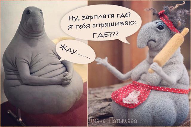 Где зарплата смешные картинки, поздравлением