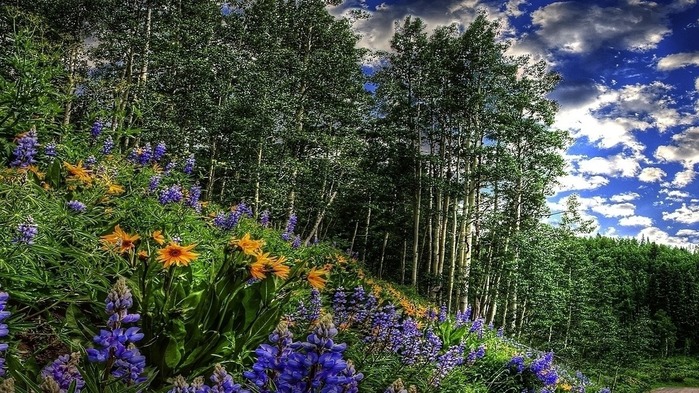 image-34 (700x393, 168Kb)