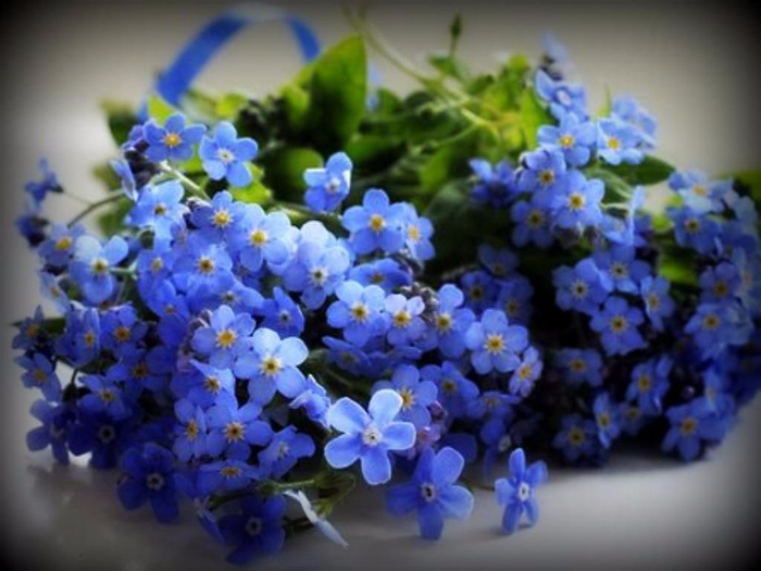 ffe0eb7d3f5b2c0c98e3223b160bbfd3c5b84392 (700x525, 325Kb)