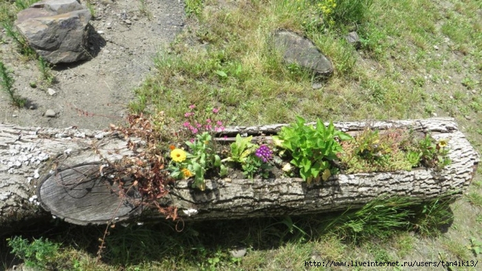 img_2988 (700x394, 310Kb)