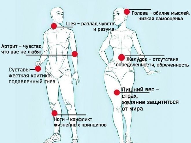 5329627_image_43 (660x495, 57Kb)