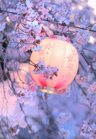 98951156_tumblr_mg5037gkPd1rveusuo1_400 (400x579, 85Kb)