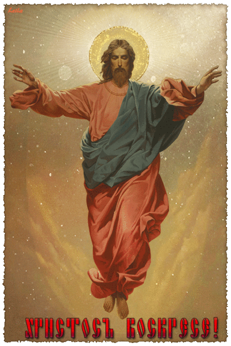 225851_14619707311 (467x700, 2613Kb)