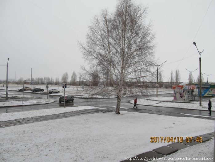 3924376_sharypovo_sneg_v_aprele (700x526, 153Kb)