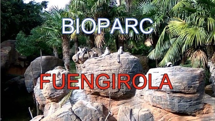Биопарк Фуэнхирола Bioparc Fuengirola/2178968_bioparc_fuengirola (700x393, 159Kb)