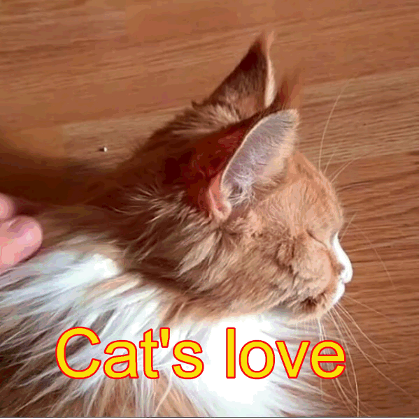  /2178968_Cats_love (599x600, 156Kb)