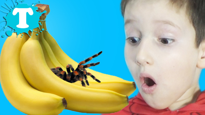 BAD BABY   ! - Spider in BANANA! Giant SPIDERS ATTACK      (700x393, 85Kb)