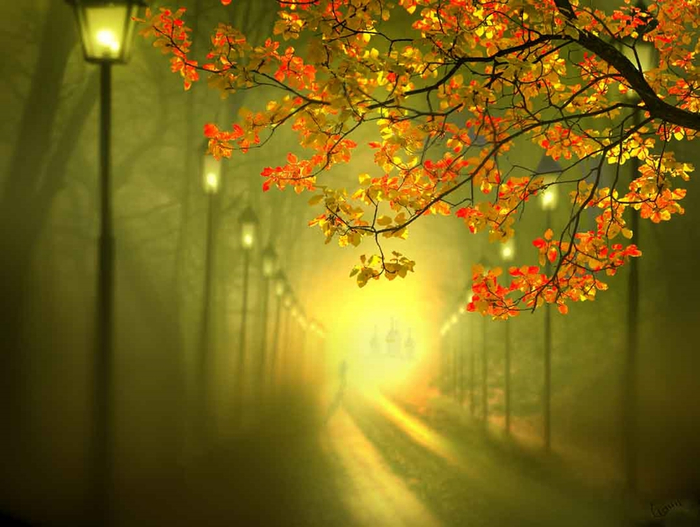 Igor Zenin Photographer - Tutt'Art@ (20) (700x527, 356Kb)