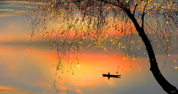 fishing-sunset-igor-zenin (700x371, 396Kb)