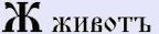 6098670_8bukva_zhivot (144x31, 2Kb)