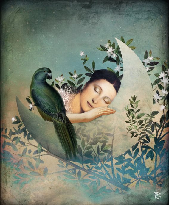 Christian Schloe - Austrian Surrealist Digital painter - Tutt'Art@ (11) (567x689, 86Kb)