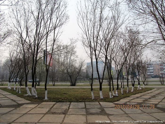 3924376_sharypovo_vesna_3 (700x525, 322Kb)