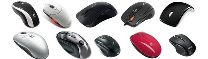 Фактор мыши. Много компьютерных мышек. Мыши компьютерные в ассортименте. Виды компьютерных мышей. Куча компьютерных мышей.