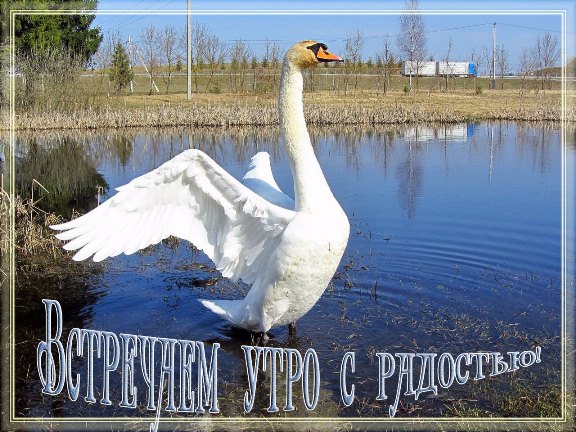 5937008_01268d (576x432, 89Kb)