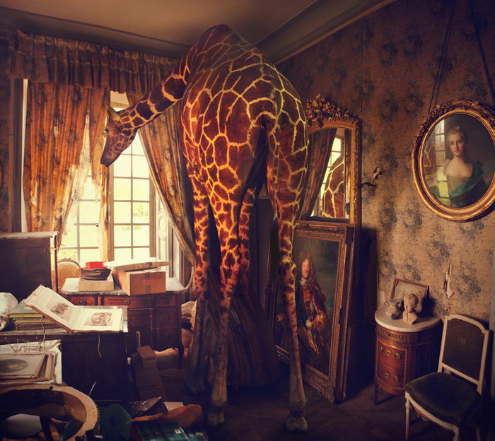 Miss Aniela19 (700x624, 640Kb)