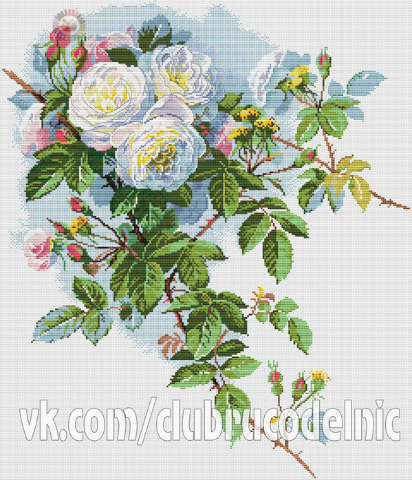 Белые розы (599x700, 605Kb)
