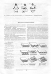  Page17 (485x700, 241Kb)