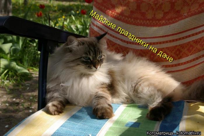 0_d7a3d_43e06cd1_orig (700x466, 50Kb)