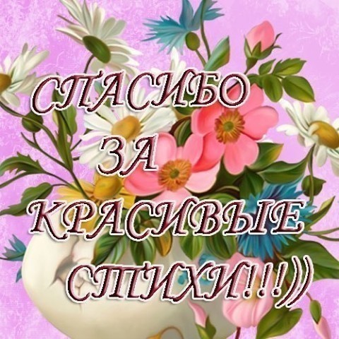 Замечательные стихи картинки, открытки
