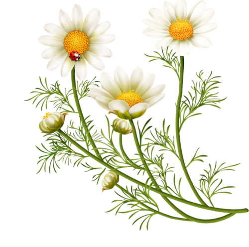 0_1c2cc9_744ecd15_L (500x496, 249Kb)