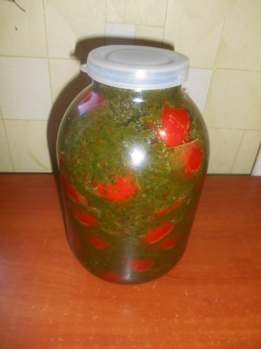5051163_image_16 (525x700, 174Kb)