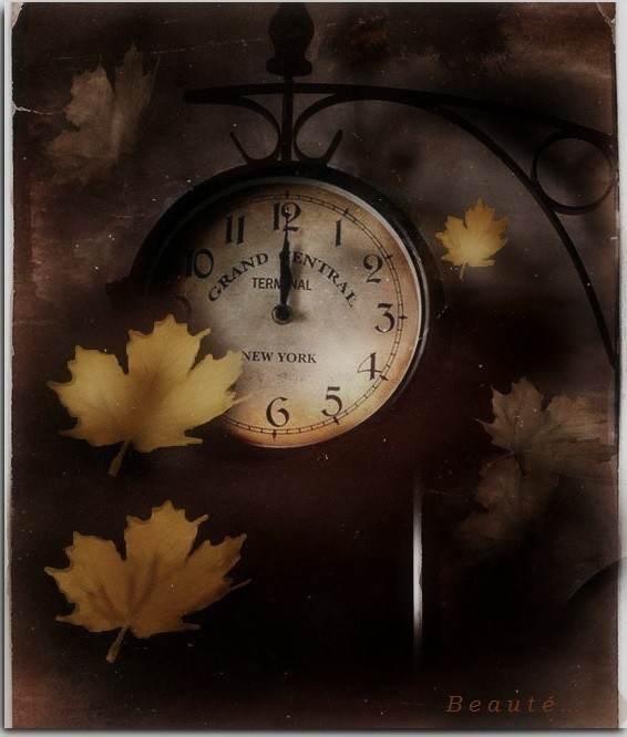 image (28) (566x666, 309Kb)