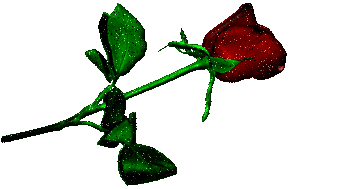 роза плачет (348x189, 193Kb)