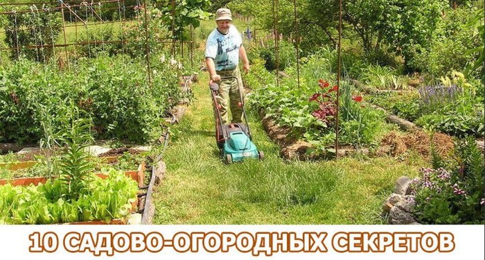 hcSEHFKs8fI (1) (700x375, 130Kb)