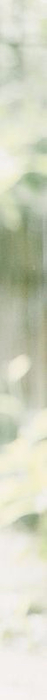 2-2 (47x700, 22Kb)