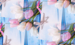  fresh-love-bant-gift-romantic-tiulpany-tulips-buket-flowers (700x420, 299Kb)