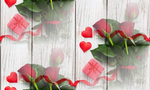  krasnye-rozy-butony-heart-love-valentine-s-day-roses-roman-4 (700x420, 333Kb)