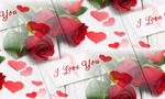  krasnye-rozy-butony-valentine-s-day-love-roses-romantic-rozy (700x420, 300Kb)