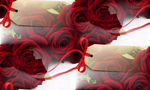  red-roses-flowers-rozy-buket-1234 (700x420, 309Kb)