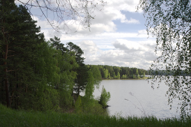 DSC06621 (640x427, 331Kb)